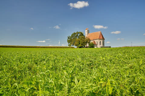 Gemeinde Tacherting Landkreis Traunstein Peterskirchen Kirche St. Alban (Dirschl Johann) Deutschland TS